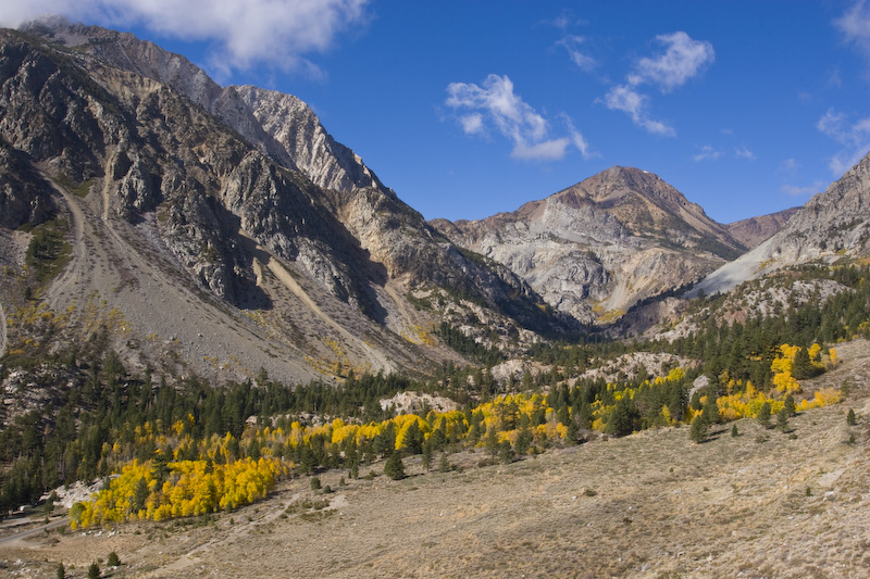Fall Color In Lee Vining Canyon